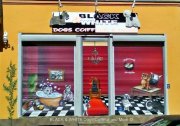 BLACK & WHITE Dogs Coiffeur and More ©
